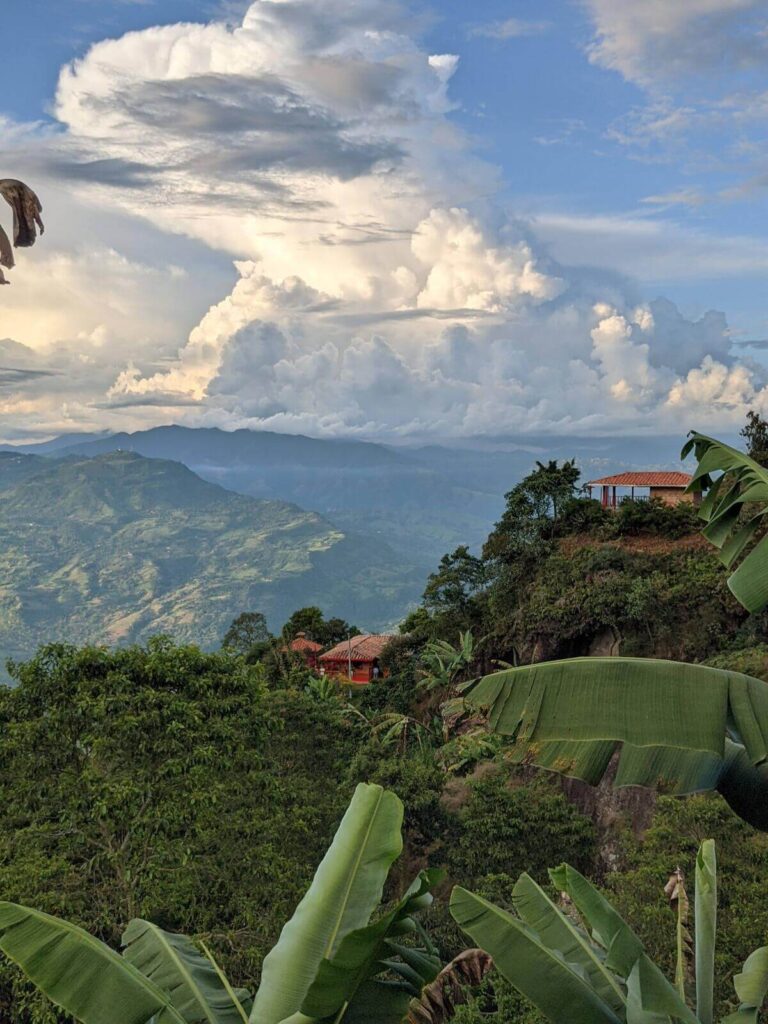 Ferme de Café Jericó, ferme de café medellin, café medellin