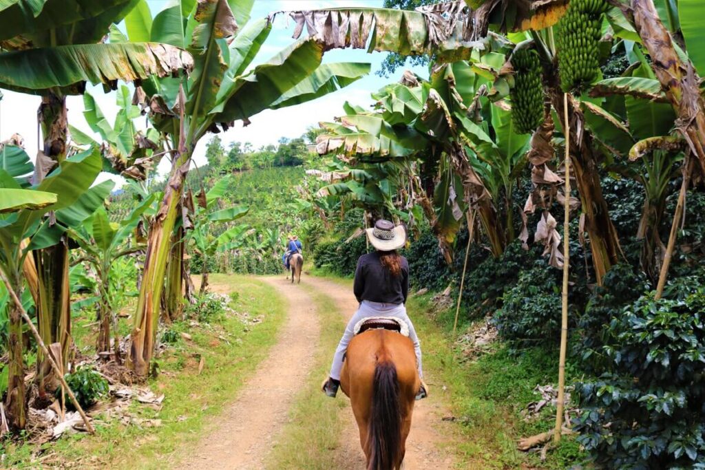 Balade à cheval à Jericó , cheval medellin , que visiter autour de medellin