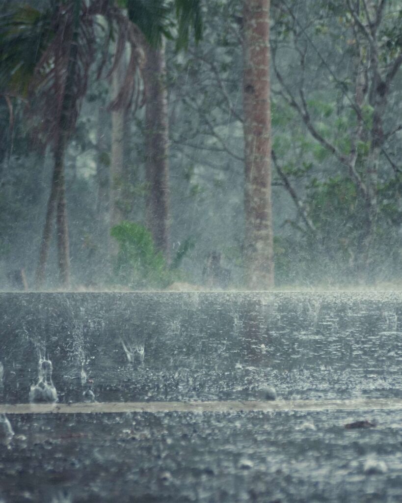 Paysage de la jungle colombienne sous la pluie – climat tropical humide et biodiversité de la forêt amazonienne.