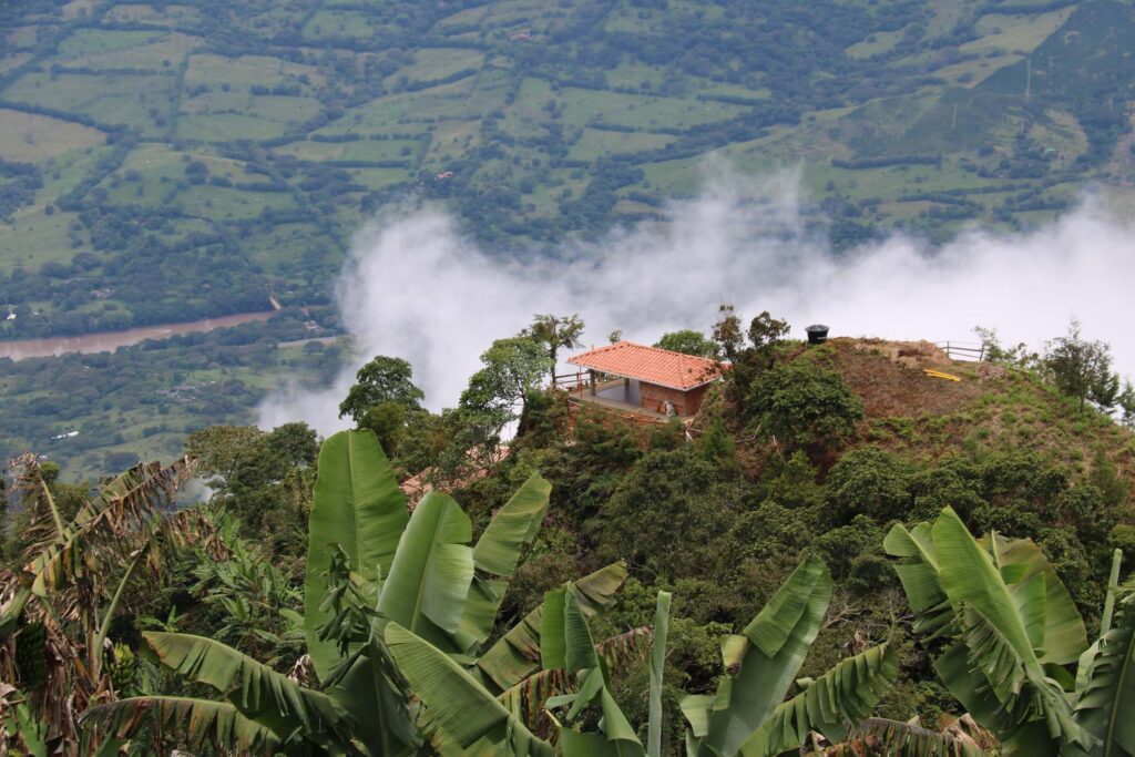 Visiter la plus belle ferme de café de Colombie