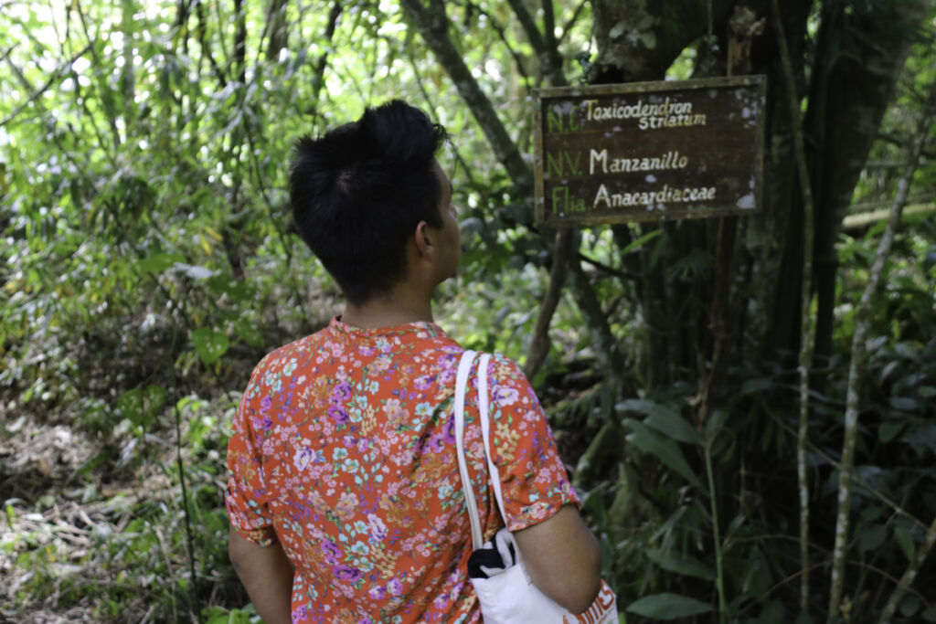 Jardin botanique, Jericó