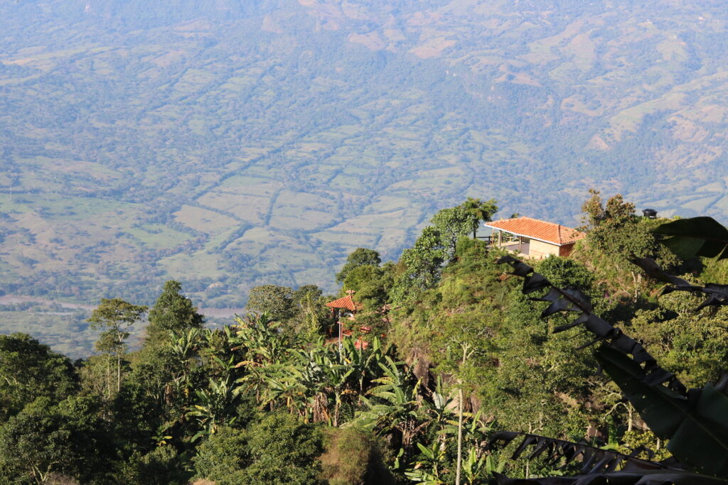 ferme de café colombie, café voyage, plantations de café colombie