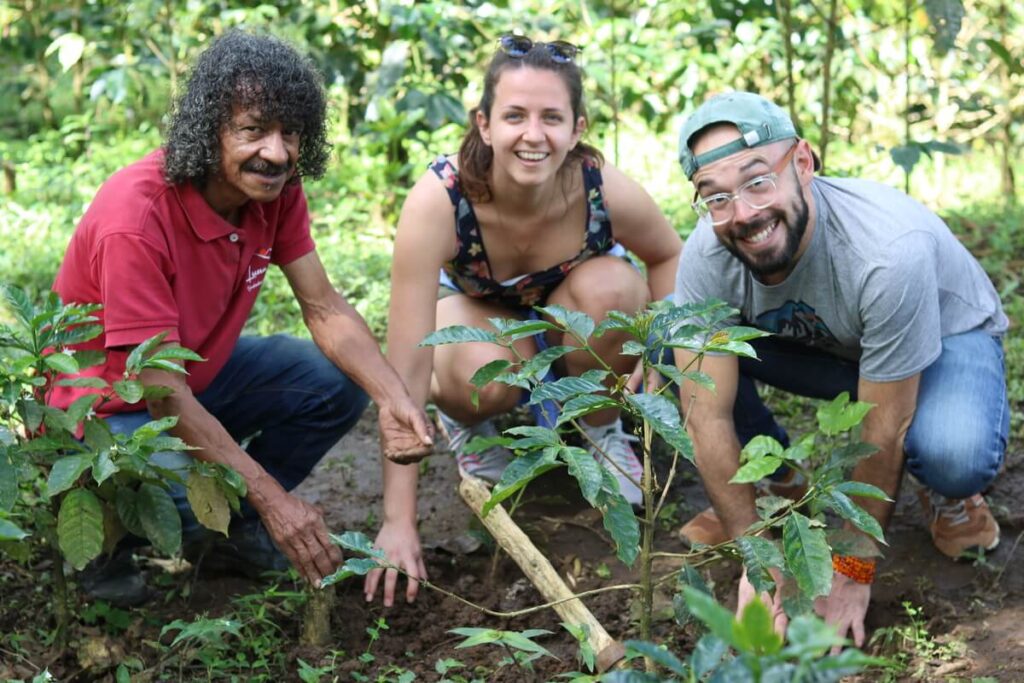Touristes en Colombie aidant un producteur local à planter un caféier lors d’une visite de ferme près de Medellin.